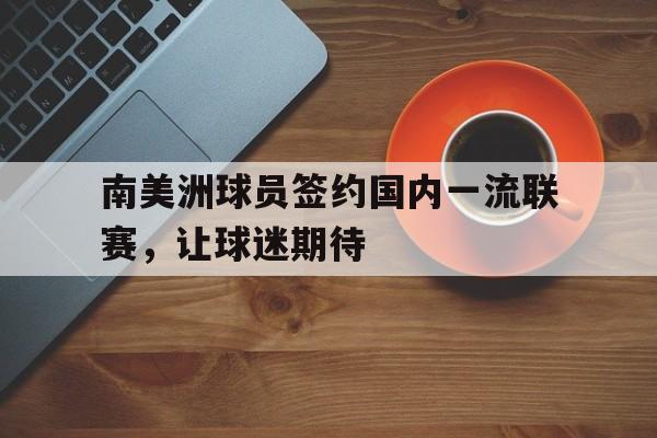 南美洲球员签约国内一流联赛，让球迷期待